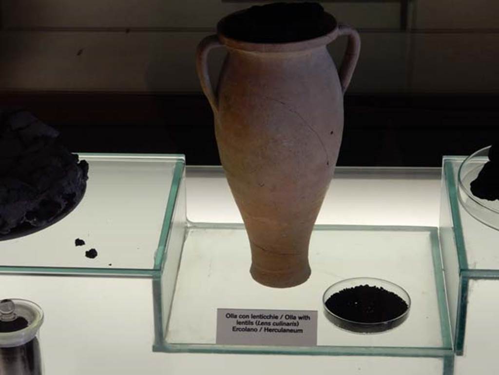 Herculaneum, May 2016. Example of carbonised lentils (lenticchie), with pot. Photo courtesy of Buzz Ferebee.