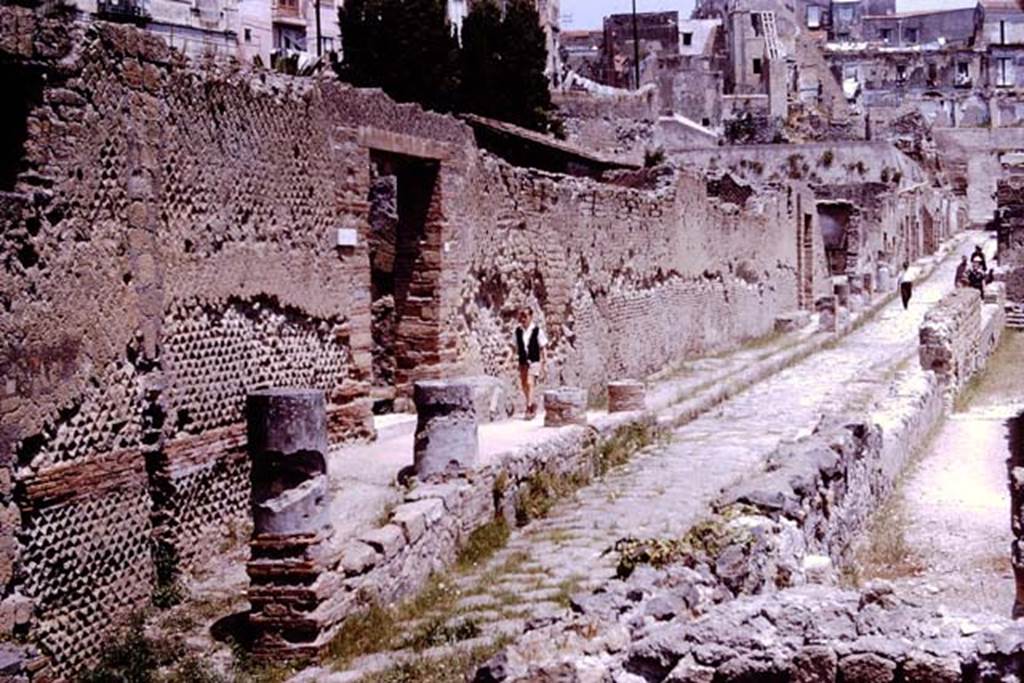 Ins.II.1, on left, Herculaneum. 1964. Looking north along Cardo III. Photo by Stanley A. Jashemski.
Source: The Wilhelmina and Stanley A. Jashemski archive in the University of Maryland Library, Special Collections (See collection page) and made available under the Creative Commons Attribution-Non Commercial License v.4. See Licence and use details. J64f1144
