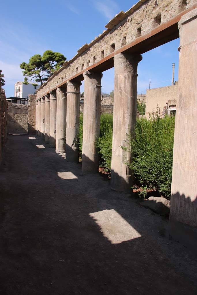 II.2 Herculaneum, September 2019. 
Looking south from north-east corner of peristyle, along east portico.  
Originally when excavated, this area would have had an upper floor. Photo courtesy of Klaus Heese.

