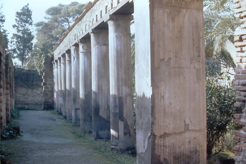 II.2, Herculaneum. 4th December 1971. Looking south along east portico of peristyle.
Photo courtesy of Rick Bauer, from Dr George Fay’s slides collection.