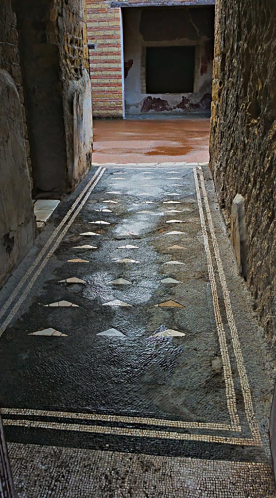 III.3 Herculaneum. Photo taken between October 2014 and November 2019.
Looking east along mosaic floor in entrance corridor. Photo courtesy of Giuseppe Ciaramella.
