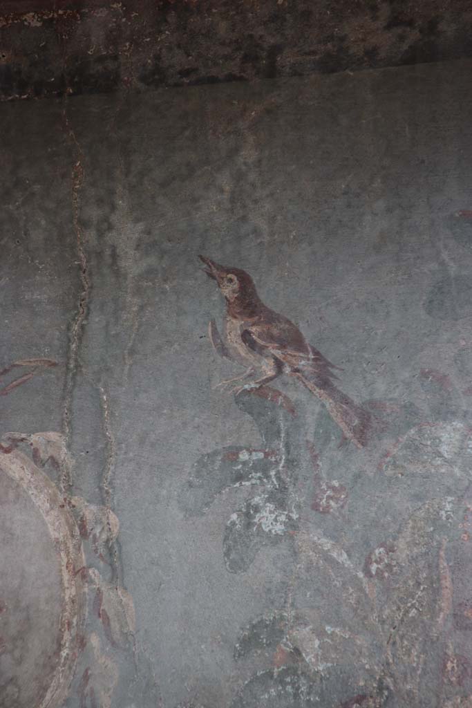 III.3, Herculaneum, September 2017. Detail of painted bird from upper west end of garden painting. 
Photo courtesy of Klaus Heese.
