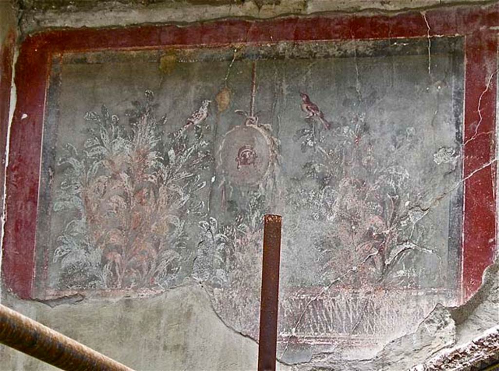 III.3 Herculaneum, April 2005. Detail of enhanced garden painting at east end of south wall above nymphaeum.  Photo courtesy of Michael Binns.
