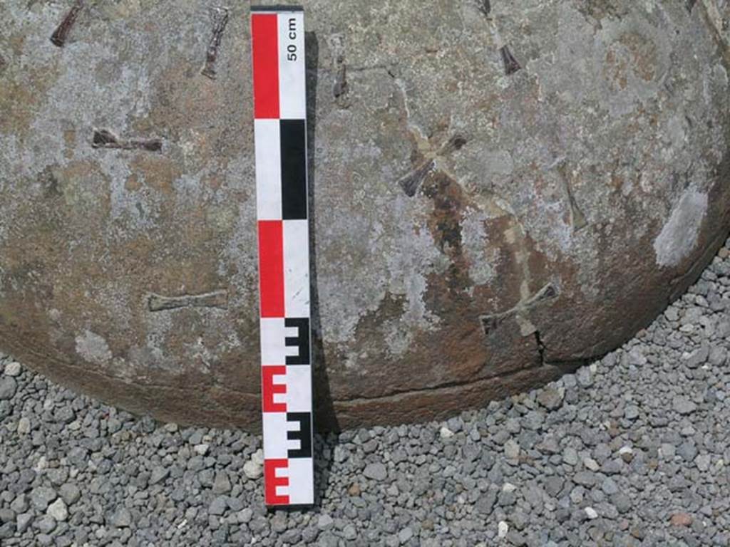 III.6, Herculaneum, June 2006. Detail of large terracotta dolium embedded in flooring. Photo courtesy of Nicolas Monteix.