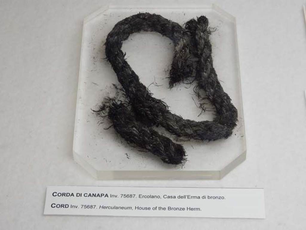 III 16, Herculaneum, May 2018. Hemp cord. Photo courtesy of Buzz Ferebee.
Now in Boscoreale Antiquarium and Museum, inventory number 75687.
