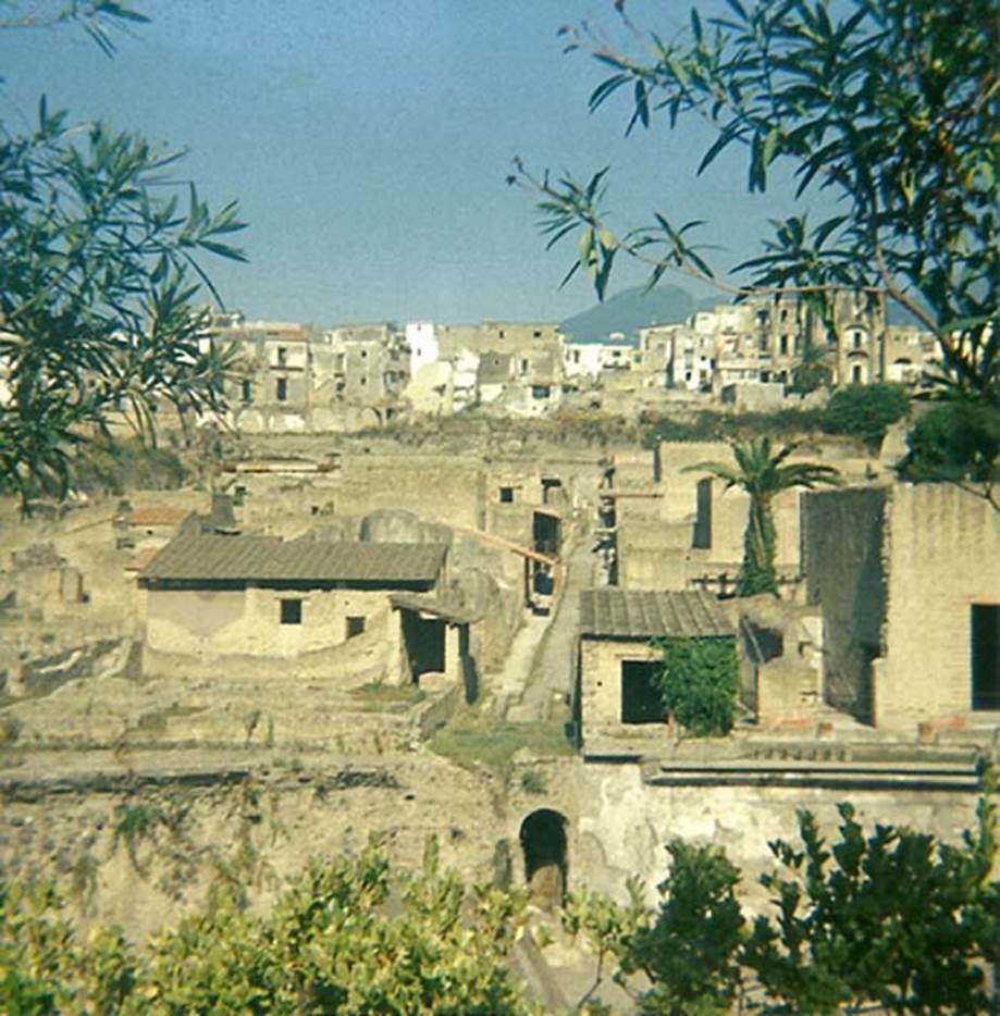 Cardo IV Inferiore, centre. 1978. Below the roadway is the vaulted passageway (blocked) leading via a ramp, to the beachfront.
On the left is part of III.19/18, and on the right is IV.1/2, the House of the Mosaic Atrium, looking north towards the terrace.
Photo courtesy of Roberta Falanelli.