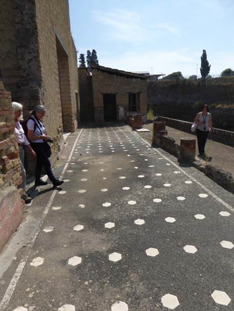 IV.2/1, Herculaneum, September 2016. Looking east across covered portico onto a terrace, which would have overlooked the beachfront. The large doorway on the left leads into the large triclinium. Ahead is a doorway and window belonging to diaeta 23.  Photo courtesy of Michael Binns.



