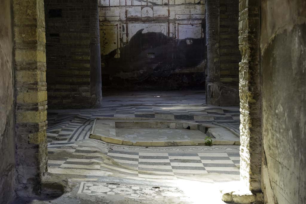 IV.2 Herculaneum, August 2021. 
Looking east towards atrium showing the undulation of the mosaic flooring and impluvium. Photo courtesy of Robert Hanson
