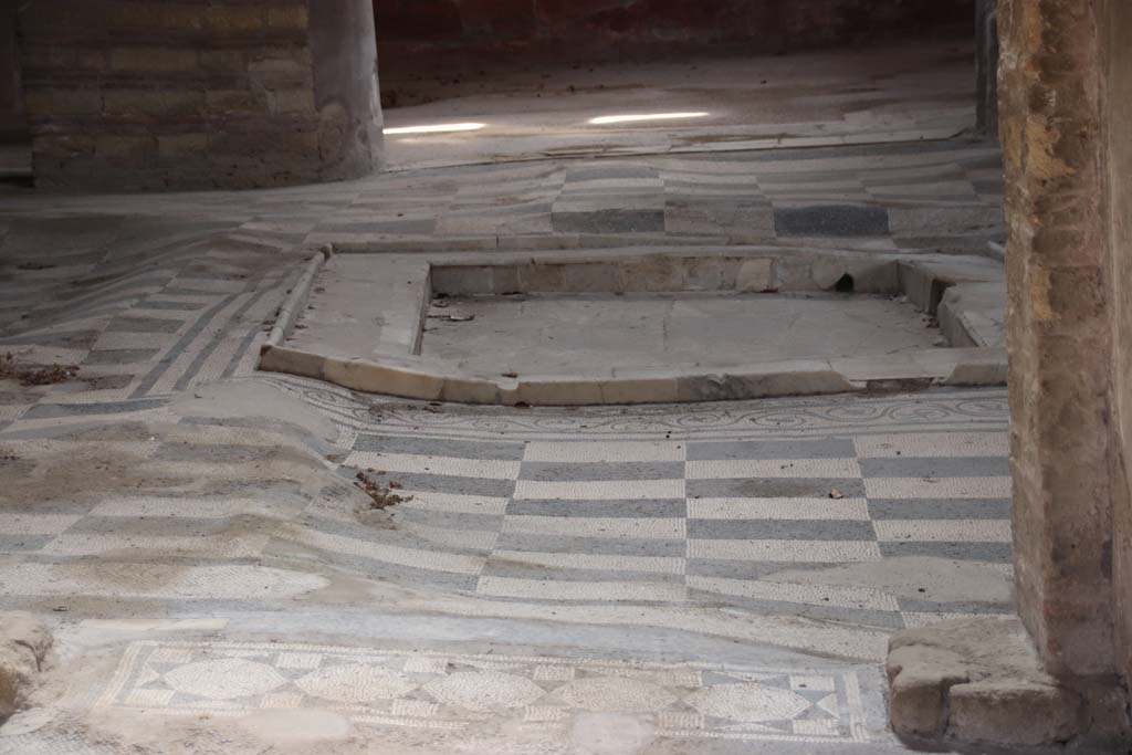IV.2, Herculaneum, September 2017.  
Looking east towards atrium showing the undulation of the mosaic flooring and impluvium.
Photo courtesy of Klaus Heese.
