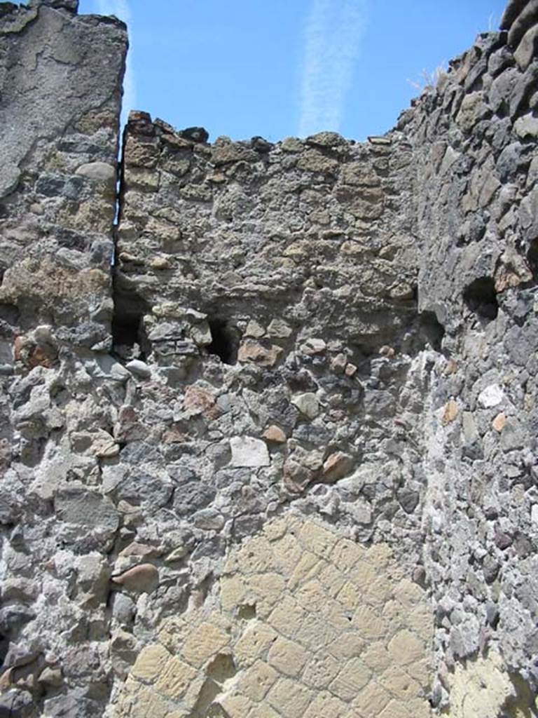 IV.6, Herculaneum, May 2003. Room 7, detail of west wall in north-west corner.
Photo courtesy of Nicolas Monteix.
