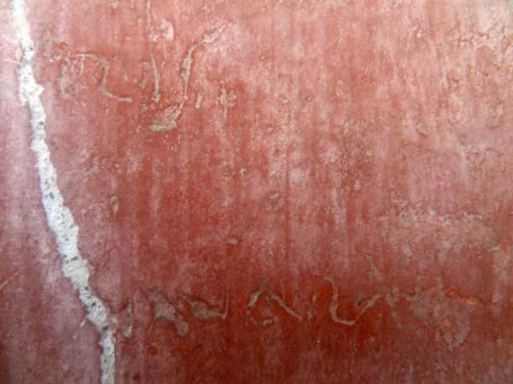 IV.8, Herculaneum, May 2010. Naviculae part of long second line of graffito on the south wall of the long corridor.