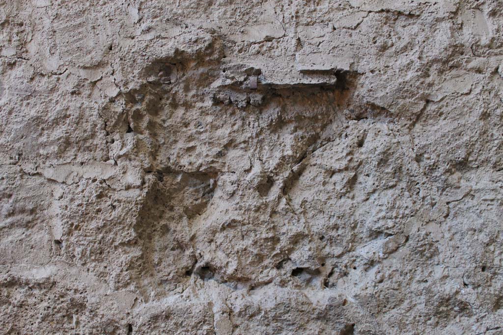 V.1 Herculaneum. March 2014. Detail of south wall of atrium.
Foto Annette Haug, ERC Grant 681269 DÉCOR.

