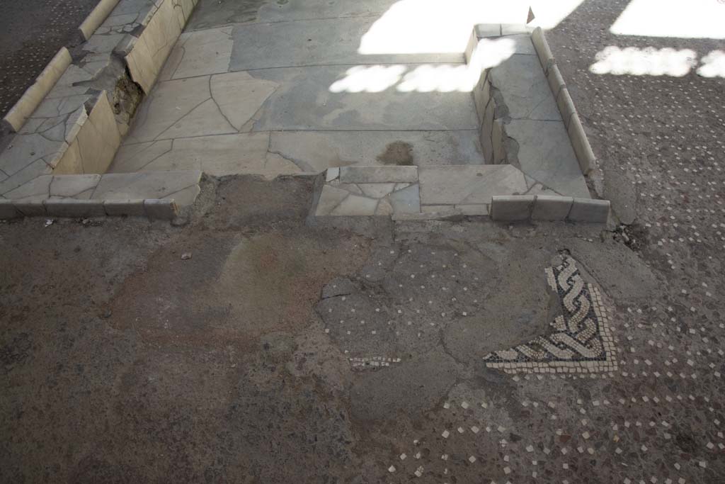 V.1 Herculaneum. March 2019. Looking west across decorated floor of atrium, near impluvium. 
The opus signinum (cocciopesto) flooring in the atrium was set with a regular pattern of white tesserae and a decorated “rope” mosaic. 
The base of the impluvium was lined with marble.
Foto Annette Haug, ERC Grant 681269 DÉCOR.

