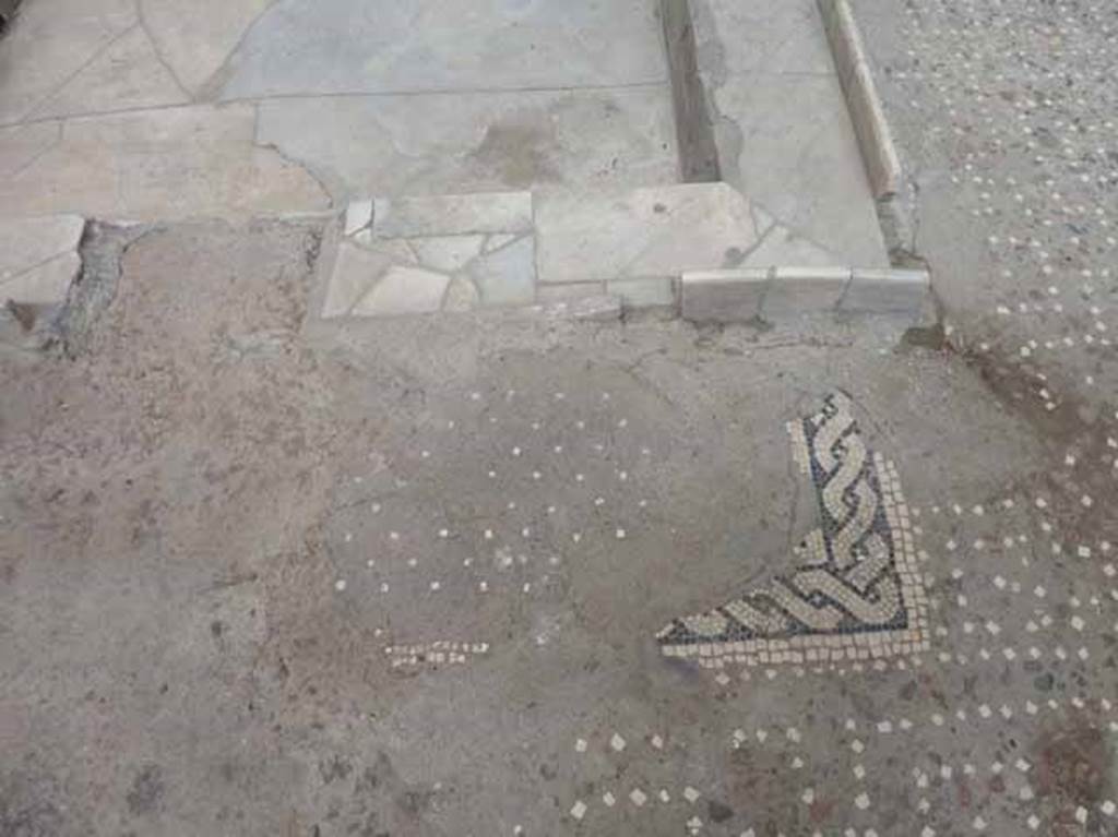V.1 Herculaneum. May 2010.  Decorated floor of atrium, near impluvium. The opus signinum (cocciopesto) flooring in the atrium was set with a regular pattern of white tesserae and a decorated “rope” mosaic.  The base of the impluvium was lined with marble.

