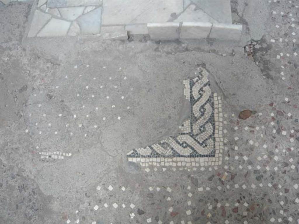 V.1 Herculaneum. August 2013. Detail from atrium floor near impluvium. Photo courtesy of Buzz Ferebee.