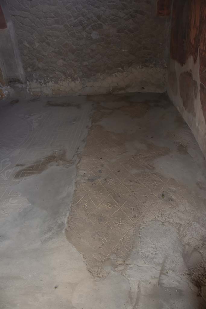V.1 Herculaneum. March 2019. Room 6, floor near south wall of the tablinum.
Foto Annette Haug, ERC Grant 681269 DÉCOR.

