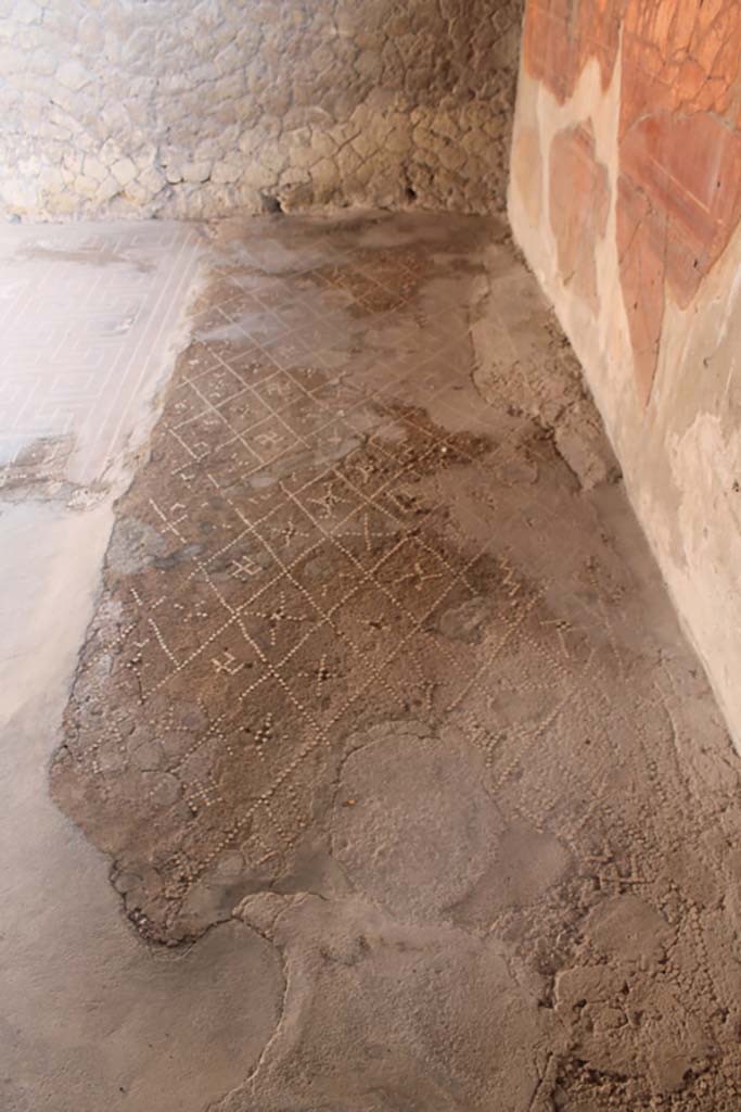 V.1 Herculaneum. March 2014. Room 6, floor near south wall of the tablinum.
Foto Annette Haug, ERC Grant 681269 DÉCOR.

