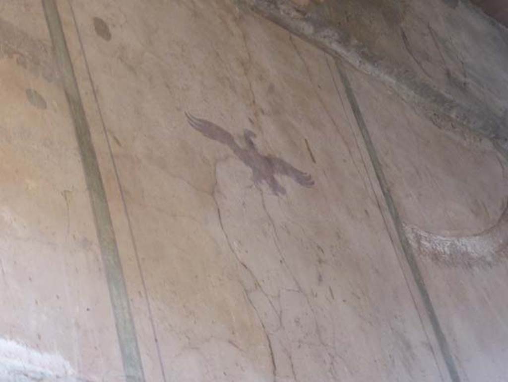 V.5 Herculaneum, September 2015. Painted bird from upper north wall of entrance corridor.