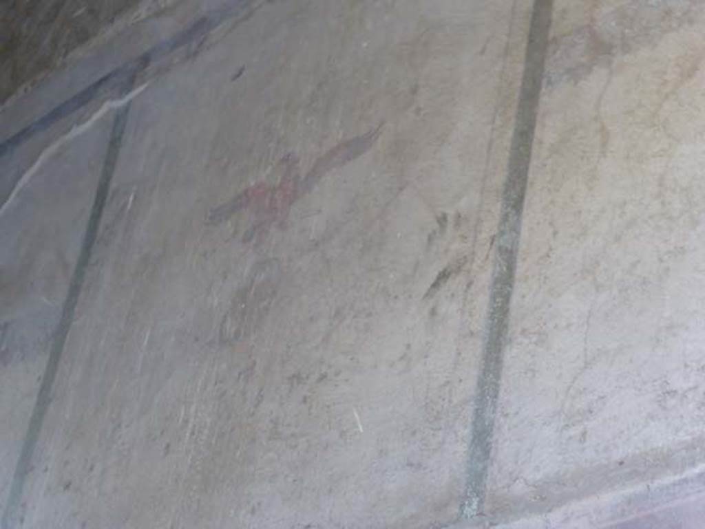 V.5 Herculaneum, September 2015. Painted bird from upper south wall.