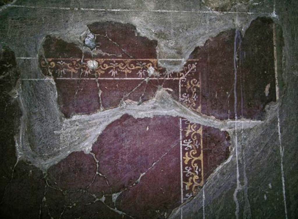 V.5, Herculaneum. May 2005. Room 8, west wall at north end, painted panel with carpet border.
Photo courtesy of Nicolas Monteix.