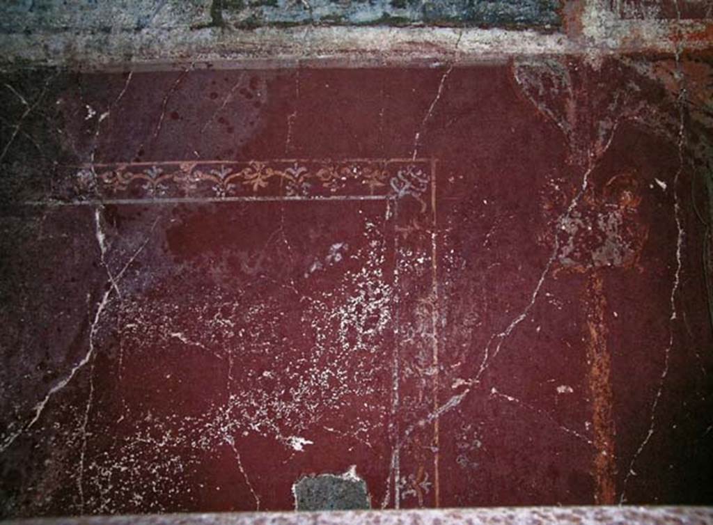V.5, Herculaneum. May 2005. Room 8, painted panel from east wall, with edging of a carpet border.  Photo courtesy of Nicolas Monteix.


