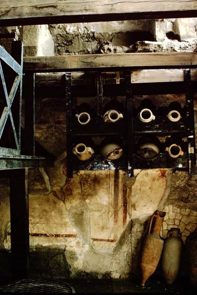 V, 6, Herculaneum, 1964. South wall with remains of painted decoration beneath amphora rack. In the centre at the top of the rack, the carbonised rope is still tied to the shelf. Photo by Stanley A. Jashemski.
Source: The Wilhelmina and Stanley A. Jashemski archive in the University of Maryland Library, Special Collections (See collection page) and made available under the Creative Commons Attribution-Non Commercial License v.4. See Licence and use details. J64f1435
