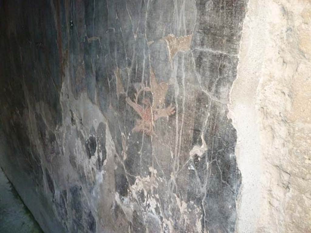 Ins. V 7, Herculaneum, September 2015. South wall of corridor.
