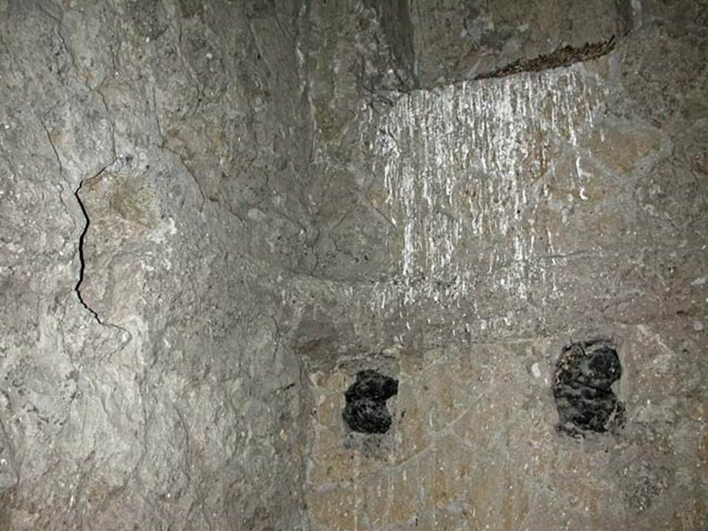 V.16, Herculaneum. September 2003. South-east corner, with remains of carbonisedsupport beams in south wall.
Photo courtesy of Nicolas Monteix.