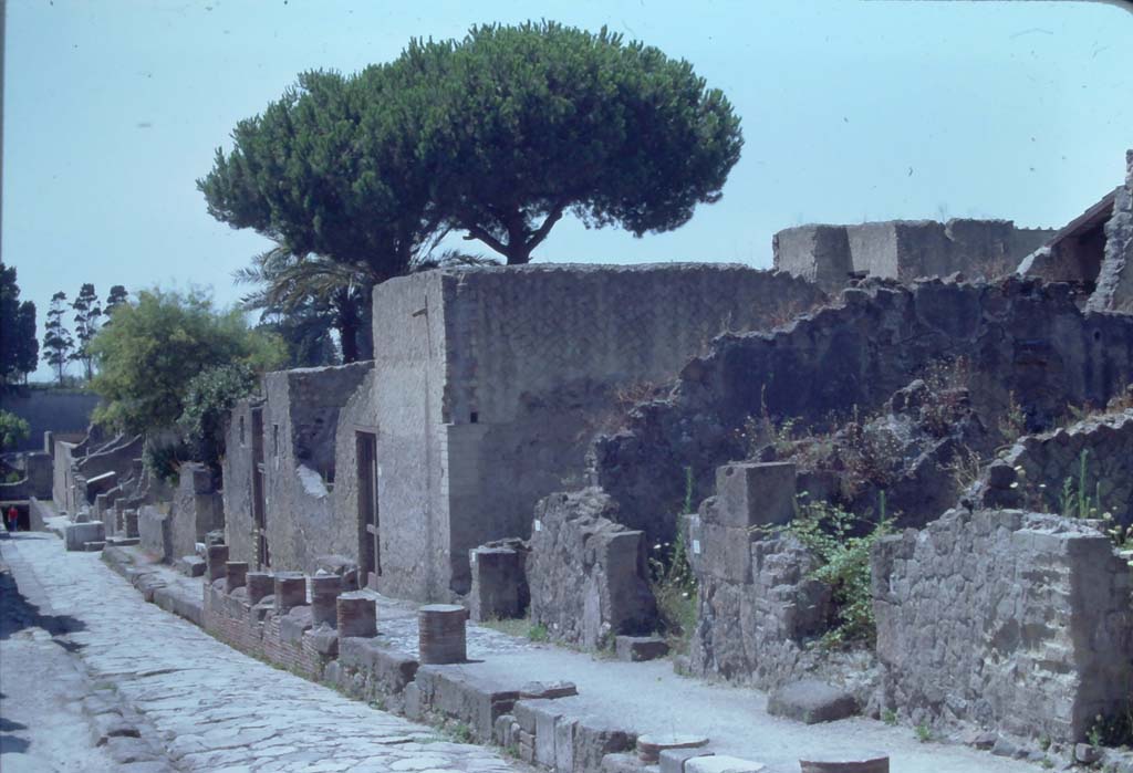 V.26, Herculaneum. Second doorway from right, 7th August 1976. Looking south along Cardo V on west side of roadway.
Photo courtesy of Rick Bauer, from Dr George Fays slides collection.
