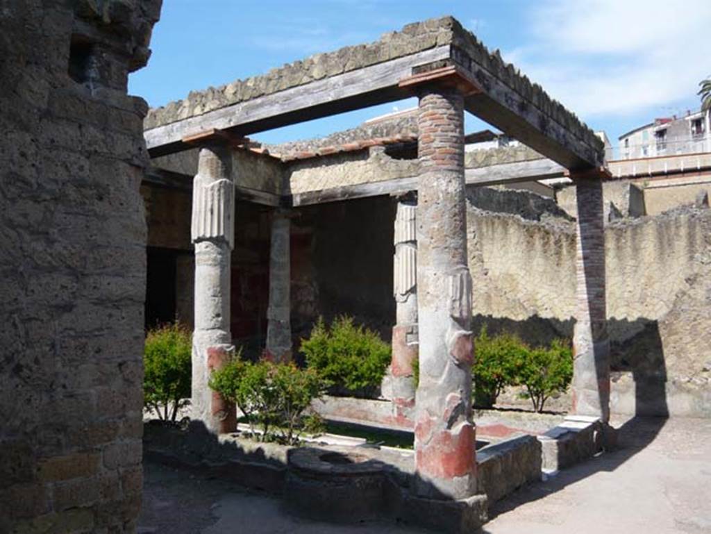 Ins V. 30 Herculaneum. May 2009. Looking north across the atrium. Photo courtesy of Buzz Ferebee.