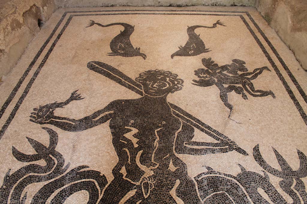 VI.8 Herculaneum. March 2014. Detail of black mosaic of Triton on white mosaic flooring of changing room or apodyterium.
Foto Annette Haug, ERC Grant 681269 DÉCOR