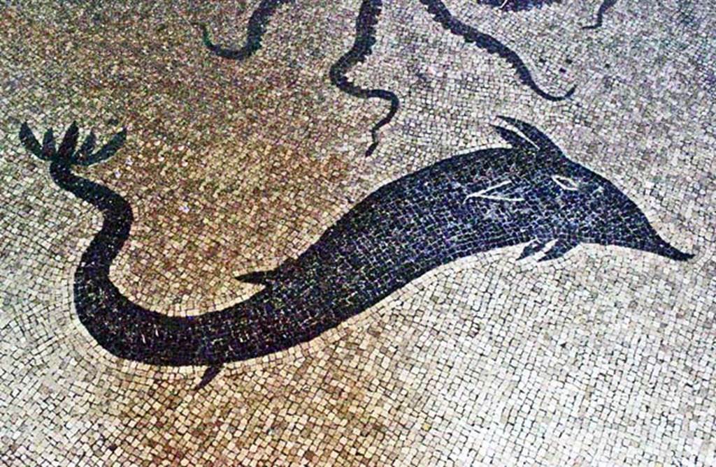 VI.8, Herculaneum. October 2001. Black and white mosaic of dolphin. Photo courtesy of Peter Woods.