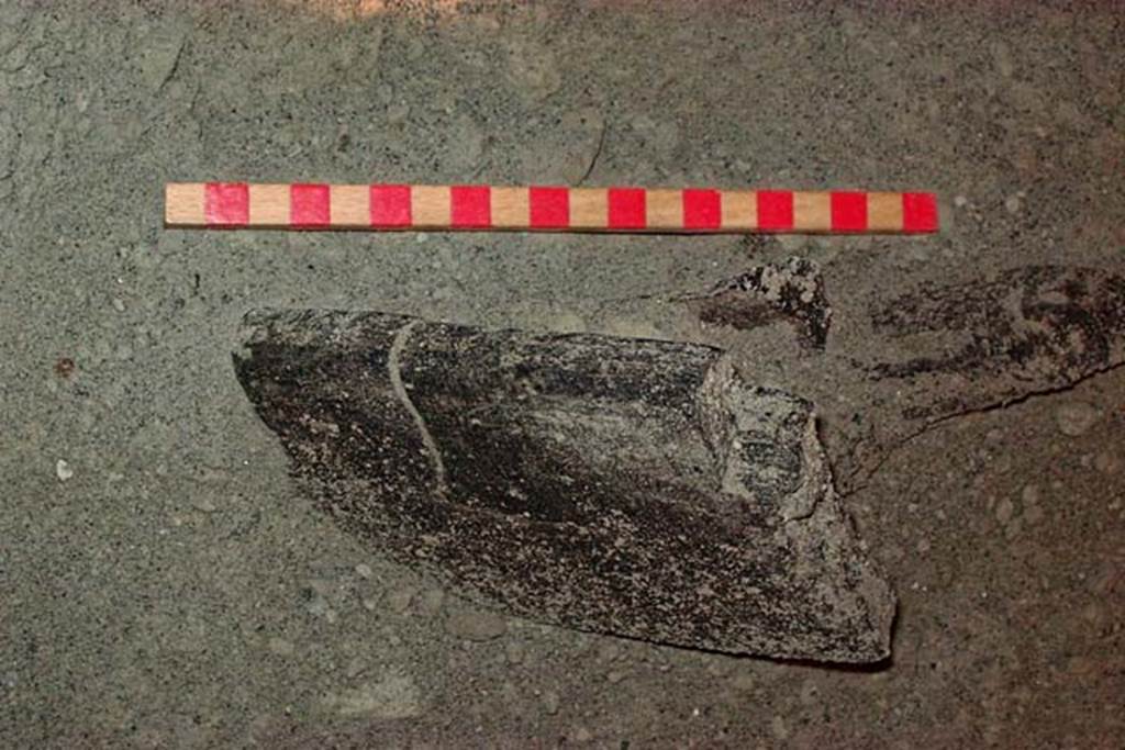 VI.15 Herculaneum. February 2003. Carbonised debris found. Photo courtesy of Nicolas Monteix.