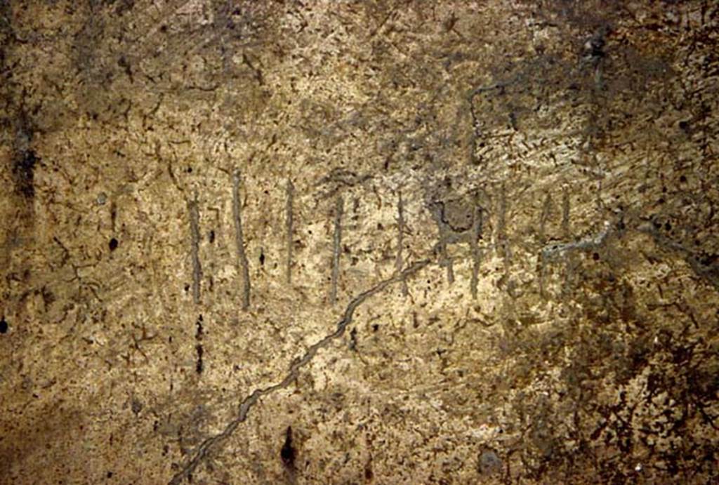 VI.15, Herculaneum. Not dated. Graffiti on the west wall. Photo courtesy of Nicolas Monteix.