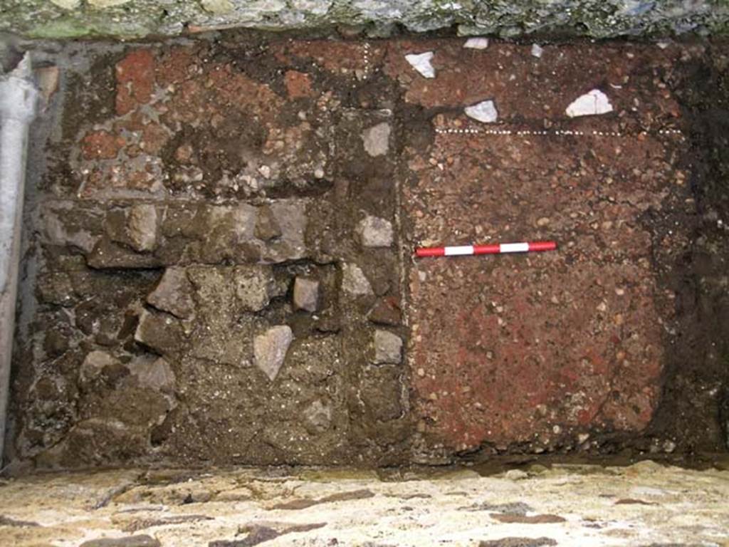 VI.25, Herculaneum. May 2004. Rear room, looking east across north end of flooring.
Photo courtesy of Nicolas Monteix.