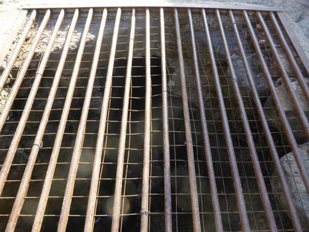 Cardo III Superiore, Herculaneum, September 2015. Drain in road.