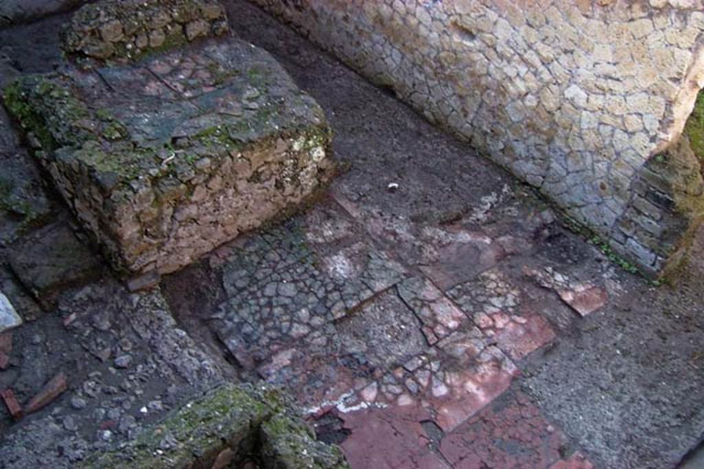 VI.30, Herculaneum. February 2003. Detail of flooring on west side of central structure, looking south-east. Photo courtesy of Nicolas Monteix.