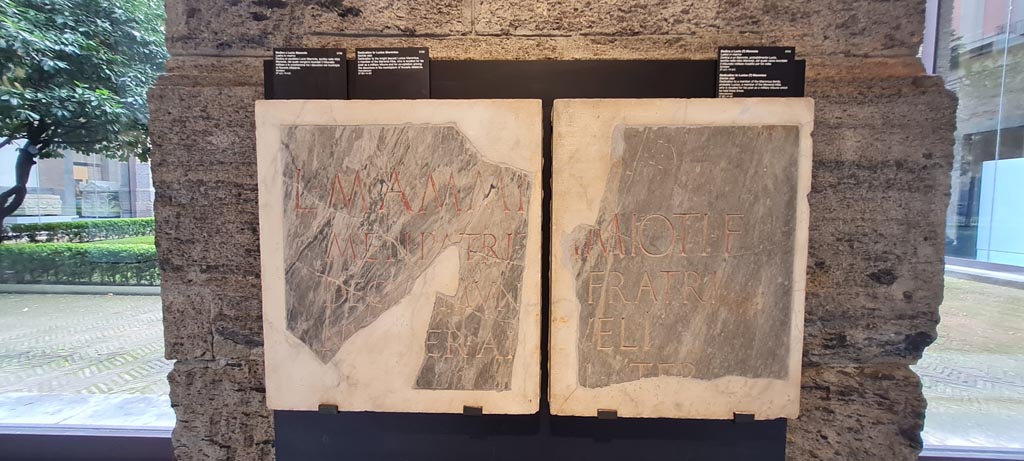Herculaneum. April 2023. Dedications. Photo courtesy of Giuseppe Ciaramella.
On display in “Campania Romana” gallery of Naples Archaeological Museum, inv. 3750 on left, and inv. 3751 on right.

On left: - Dedication to the knight (eques) Lucius Mammius, a member of the Menenian tribe, who is recalled for his post as a military tribune and for co-optation among the decurions in the municipium of Nuceria Alfaterna.
Ercolano (Napoli), ignoratur 
L(ucio) Mammi[o L(uci)? f(ilio)]
Men(enia) patri t[r(ibuno) mil(itum)]
decu[r(ioni)] mun[icipii]
Nu[ch]er(ini) al[lecto]      [CIL X, 1449]

On right: - Dedication to a member of the Mammius family, probably Lucius, a member of the Menenian tribe, who is recalled for his post as a military tribune which he held three times.
Ercolano (Napoli), ignoratur 
[L(ucio)? Ma]mmio Ti(beri) f(ilio)
[Men(enia)], fratri
[patr]ueli,
[tr(ibuno) mi]l(itum) ter
------?      [CIL X, 1476]

