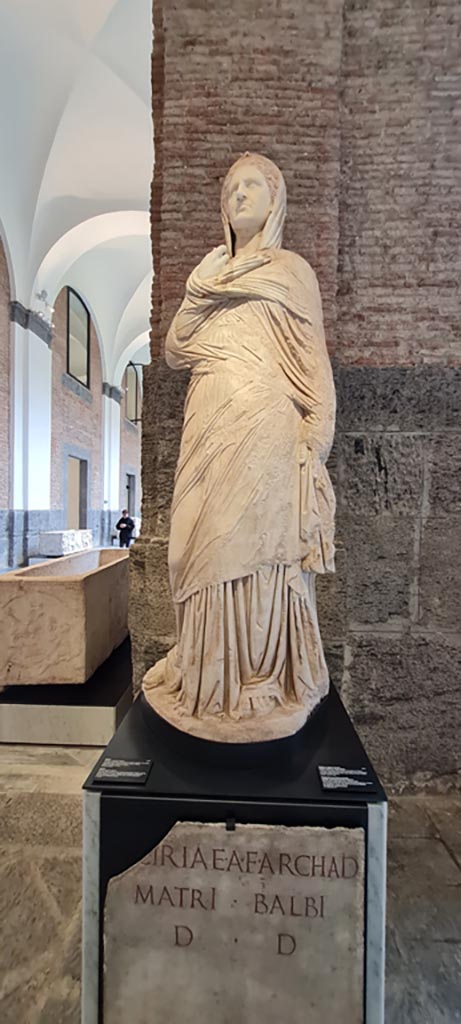 Herculaneum, Basilica Noniana. April 2023. 
White marble statue of Viciria, mother of Marcus Nonius Balbus. 
On display in “Campania Romana” gallery in Naples Archaeological Museum, inv. 6168.
Photo courtesy of Giuseppe Ciaramella.
