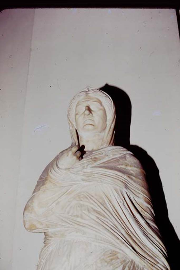Ins. VII, Herculaneum, 1975. Detail from statue of Viciria, mother of Nonius Balbus. 
Photo by Stanley A. Jashemski.   
Source: The Wilhelmina and Stanley A. Jashemski archive in the University of Maryland Library, Special Collections (See collection page) and made available under the Creative Commons Attribution-Non Commercial License v.4. See Licence and use details. J75f0574
