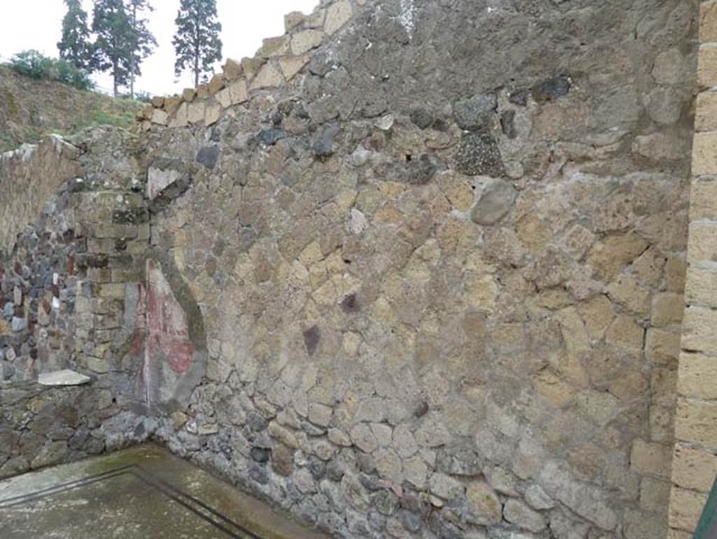 Ins. Orientalis I, 2, Herculaneum, September 2015. South wall of tablinum.