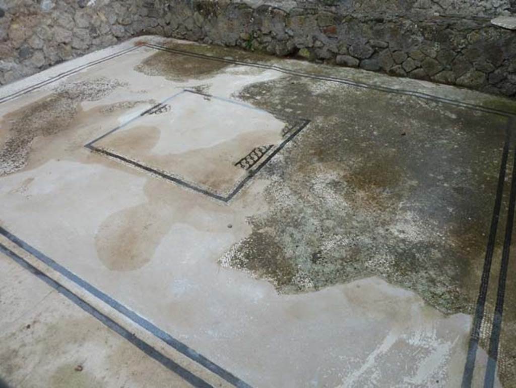 Ins. Orientalis I, 2, Herculaneum, September 2015. Floor of tablinum. 

 
