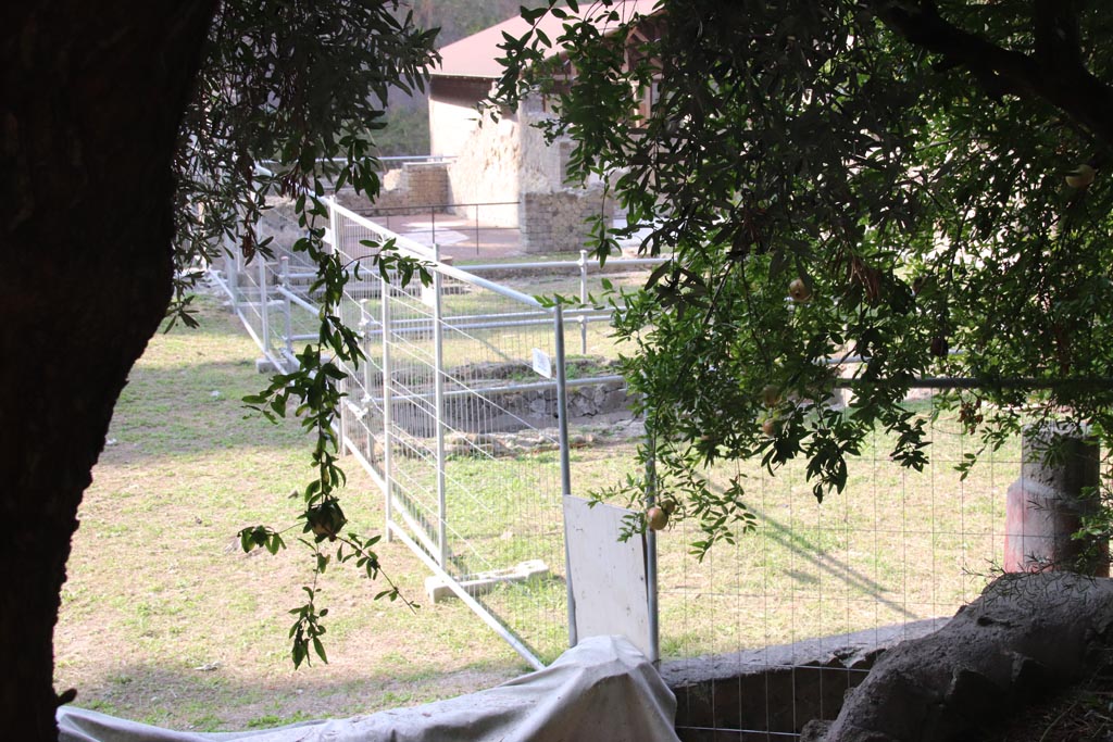 Ins. Or. I.3, Herculaneum. October 2023.
Looking south from “the Garden of Idleness and Leisure”/Il Giardino dell’Ozio, onto the peristyle area of Ins. Or. I.2, the House of Telephus Relief.
Photo courtesy of Klaus Heese.