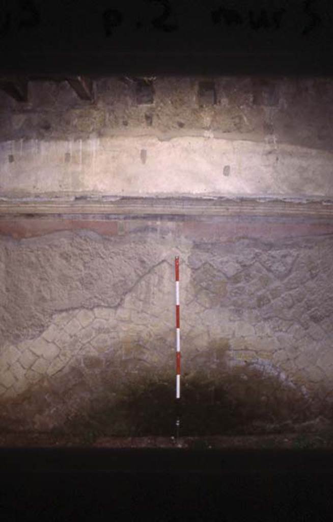 Ins Or II, 9, Herculaneum. July 2001. Detail from south wall.
Photo courtesy of Nicolas Monteix.