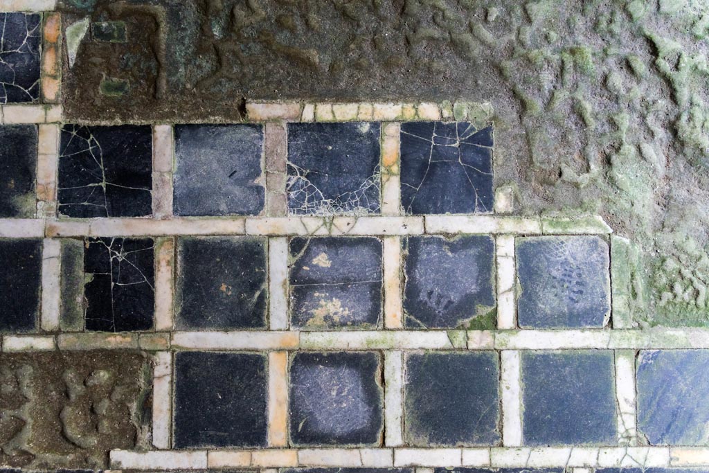 Herculaneum Suburban Baths. October 2023. Tepidarium, detail of flooring. Photo courtesy of Johannes Eber.