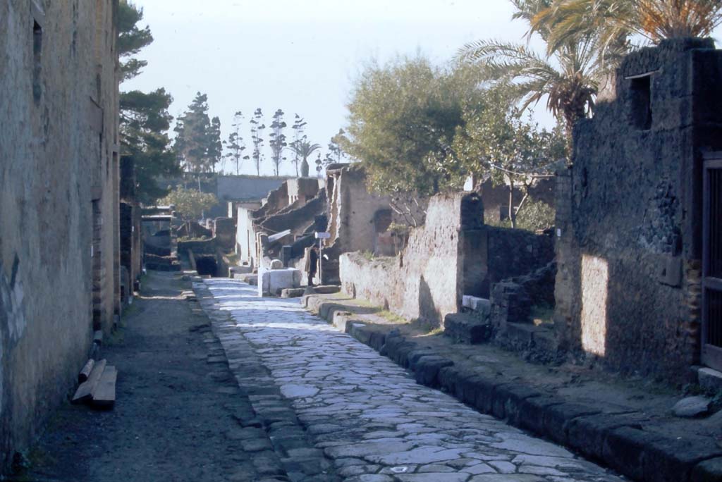 Cardo V, Herculaneum. 4th December 1971. Looking south between Ins. Or. II, on left, and Insula V, on right.
Photo courtesy of Rick Bauer, from Dr George Fay’s slides collection.
