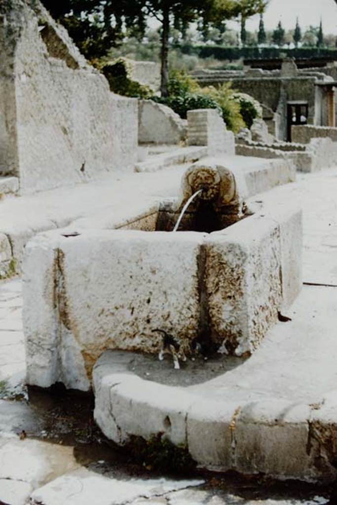 Cardo V, Herculaneum, 1957. 
Fountain with water on corner of Ins. IV, at junction of Decumanus Inferiore and Cardo V Inferiore, 
Photo by Stanley A. Jashemski.
Source: The Wilhelmina and Stanley A. Jashemski archive in the University of Maryland Library, Special Collections (See collection page) and made available under the Creative Commons Attribution-Non Commercial License v.4. See Licence and use details.
J57f0451

