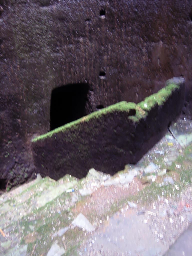 Herculaneum Theatre, July 2009.
Central cavea of the theatre, see above painting by Gigante. Photo courtesy of Sera Baker.