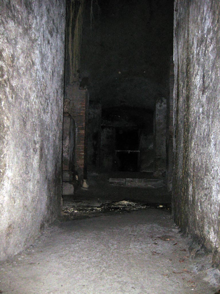 Herculaneum Theatre, July 2009. Photo courtesy of Sera Baker.
