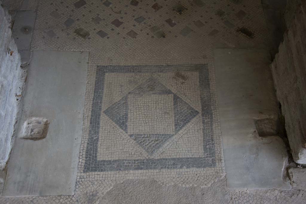 Villa dei Papiri, March 2019. Corridor h, mosaic in doorway threshold.
Foto Annette Haug, ERC Grant 681269 DÉCOR.
